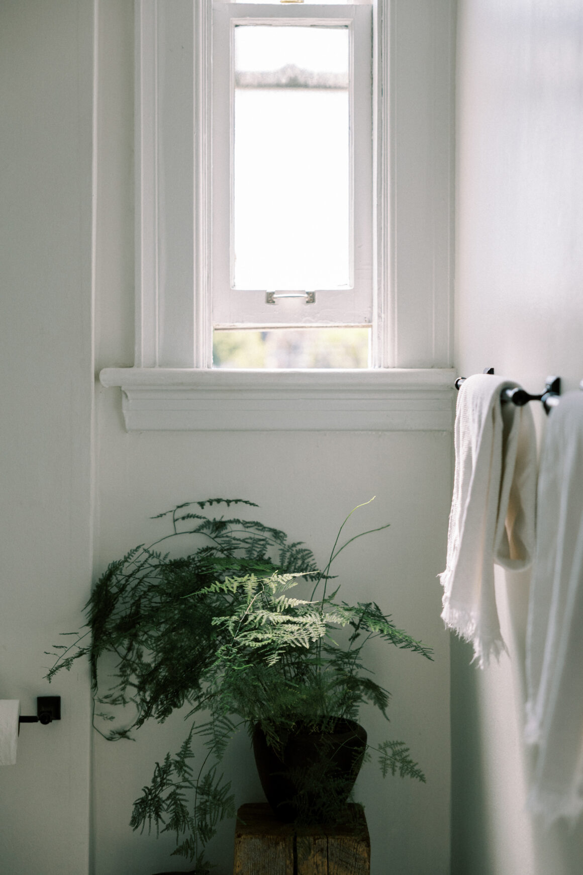 A bright bathroom with an open window, fresh white towel, and a healthy fern, signaling clean air rather than fragrance.