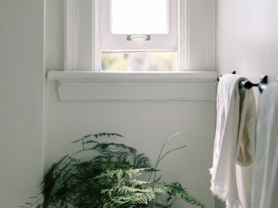 A bright bathroom with an open window, fresh white towel, and a healthy fern, signaling clean air rather than fragrance.