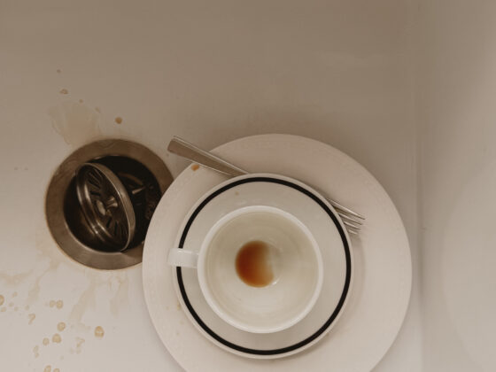 A single used cup and plate in a white kitchen sink, seen from above