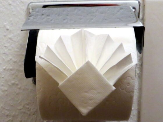 Toilet paper fold shaped into an elaborate pleated fan on a chrome holder