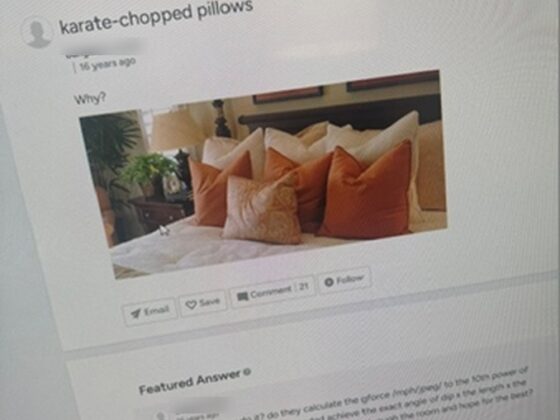 Photo of a computer screen showing a 16-year-old forum post titled "karate-chopped pillows" that asks only "Why?" above a bed stacked with chopped pillows