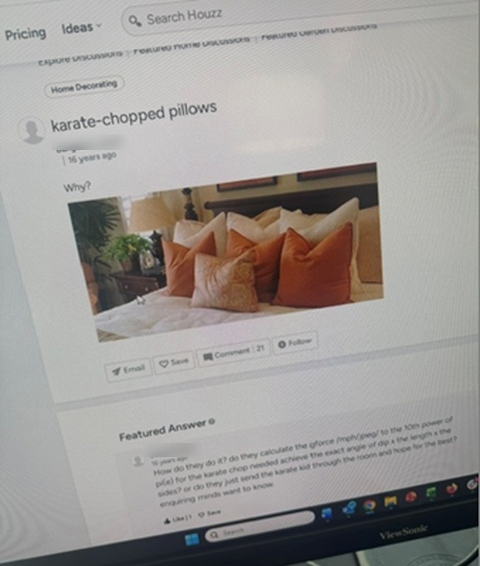 Photo of a computer screen showing a 16-year-old forum post titled "karate-chopped pillows" that asks only "Why?" above a bed stacked with chopped pillows