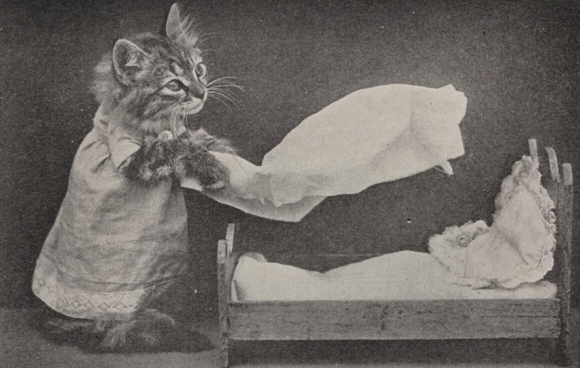 Vintage black and white photo of a kitten in a dress shaking out a sheet over a small doll bed